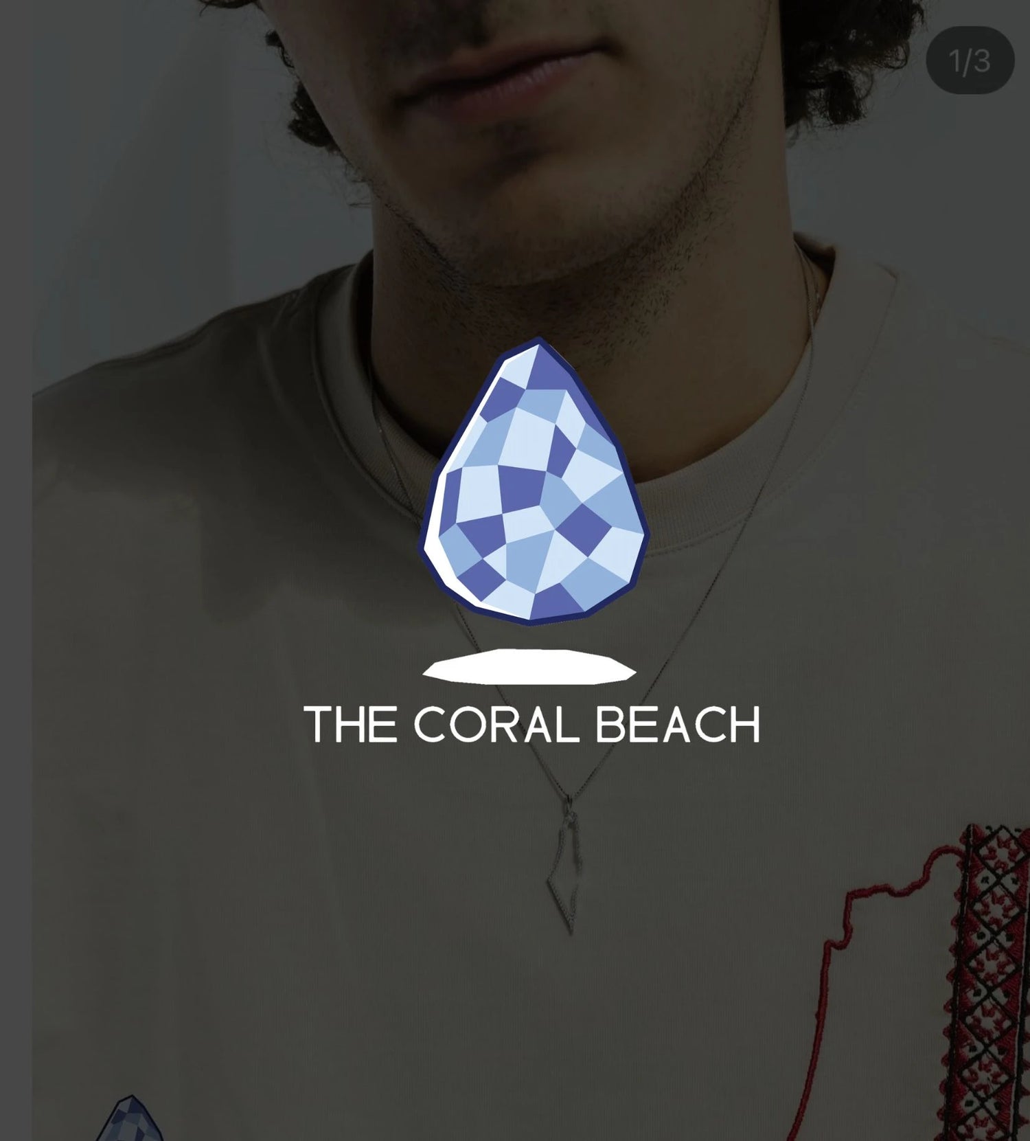 The Coral Beach